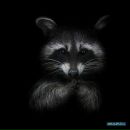 Фотография Хамзина Максима