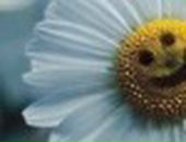 Ліля Гаврилюк фотография #20 (источник - https://vk.com/id142292197)