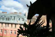 Bella Radenoviћ фотография #38 (источник - https://vk.com/id39098)