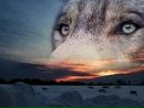 Фотография Наумова Андрея