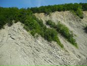 Іван Мороз фотография #36 (источник - https://vk.com/id21524824)