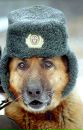 Ігор Гончаров фотография #28 (источник - https://vk.com/id54132639)