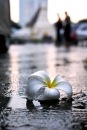 Фотография Семенякиной Дины
