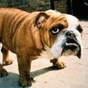 Міша Пижук фотография #23 (источник - https://vk.com/id132144193)