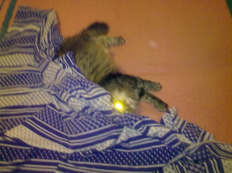 Андрюшка Орлов фотография #3