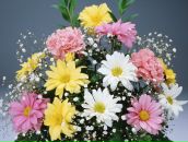 Іра Каблак фотография #3 (источник - https://vk.com/id54220549)