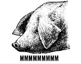 Фотография Нестеровой Елены