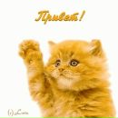 Надія Наседкіна фотография #10 (источник - https://vk.com/id112146932)