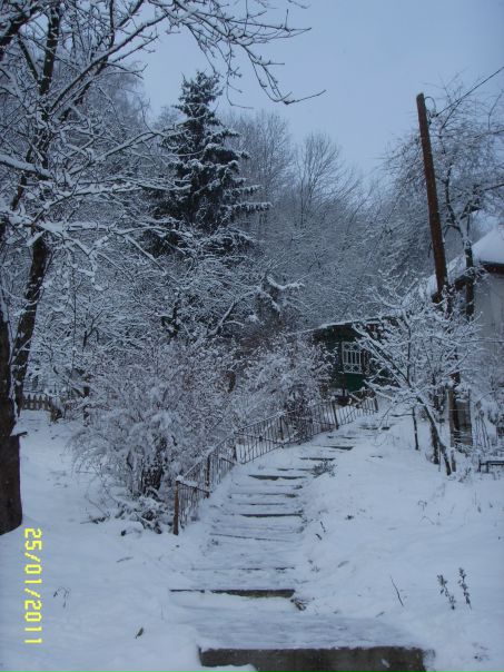 №4, Светлана Щеблякова, Архангельск №4, Светлана Щеблякова, Архангельск