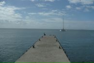 Фотография Кузьмичевой Елены