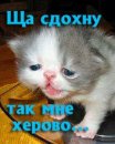 Андрій Назарець фотография #42 (источник - https://vk.com/id65065180)