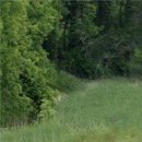 Даша Матинян фотография #33 (источник - https://vk.com/id34196743)