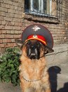 Розалі Калина фотография #26 (источник - https://vk.com/id152710540)