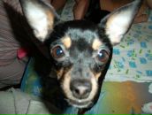 Фотография Зверева Андрея