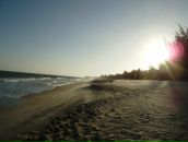 Фотография Пикиной Ани