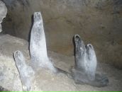 Андрій Семенчук фотография #47 (источник - https://vk.com/id45227753)