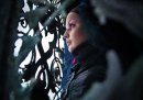 Фотография Стелларатор Квазисимметричный