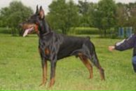 Володимир Павлік фотография #32 (источник - https://vk.com/id140487540)