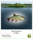 Ігор Микитин фотография #43 (источник - https://vk.com/id111819183)