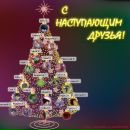 Анна Волкова фотография #4 (источник - https://vk.com/id807266)