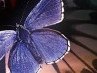 Оля Кисіль фотография #8 (источник - https://vk.com/id165756773)