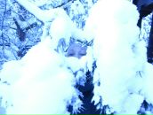 Фотография Элумбаевой Марины