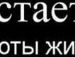 Иван Копер фотография #43 (источник - https://vk.com/id11982280)