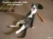 Вася Тімовка фотография #9 (источник - https://vk.com/id138906294)