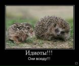 Фотография Печеневского Сергея