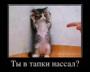 Андрій Іваничко фотография #12 (источник - https://vk.com/id136983603)