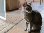 Иван Нави фотография #24 (источник - https://vk.com/id155927)