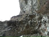 Міша Шкромида фотография #44 (источник - https://vk.com/id65454532)