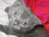 Фотография Вертяновой Анжелики