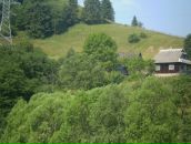 Надія Шух фотография #12 (источник - https://vk.com/id41146459)