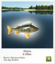 Віталій Пастрама фотография #37 (источник - https://vk.com/id34071171)