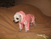 Фотография Багровой Ани