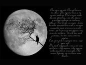 Фотография Ивановой Екатерины