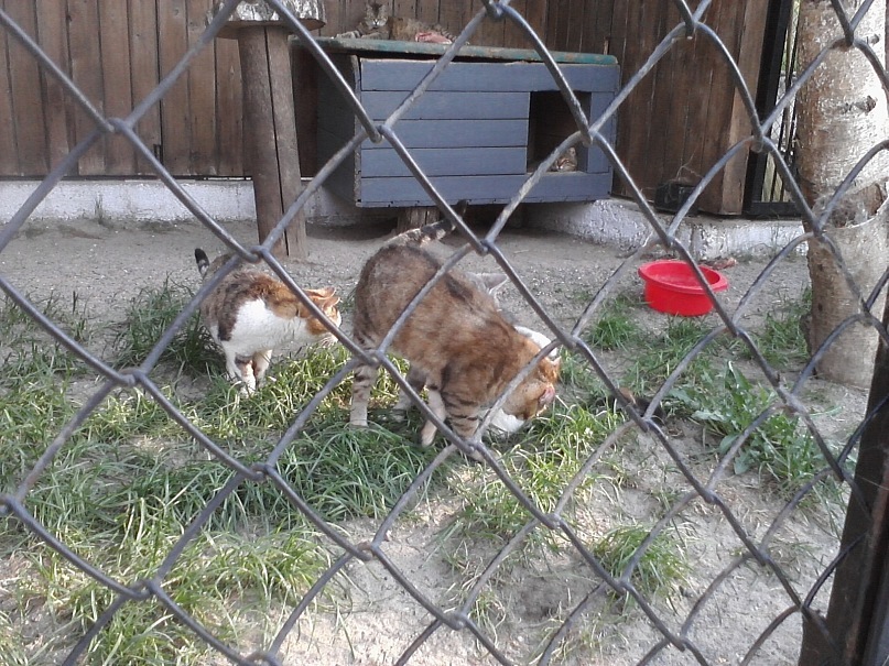 Дмитрий Иост фотография #35