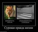 Натуська Білокур фотография #19 (источник - https://vk.com/id58570712)