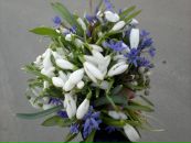 Анічка Сисюк фотография #1