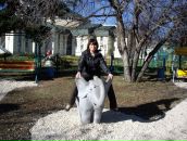 Фотография Стукаловой Анны