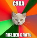 Фотография Белькова Дмитрия