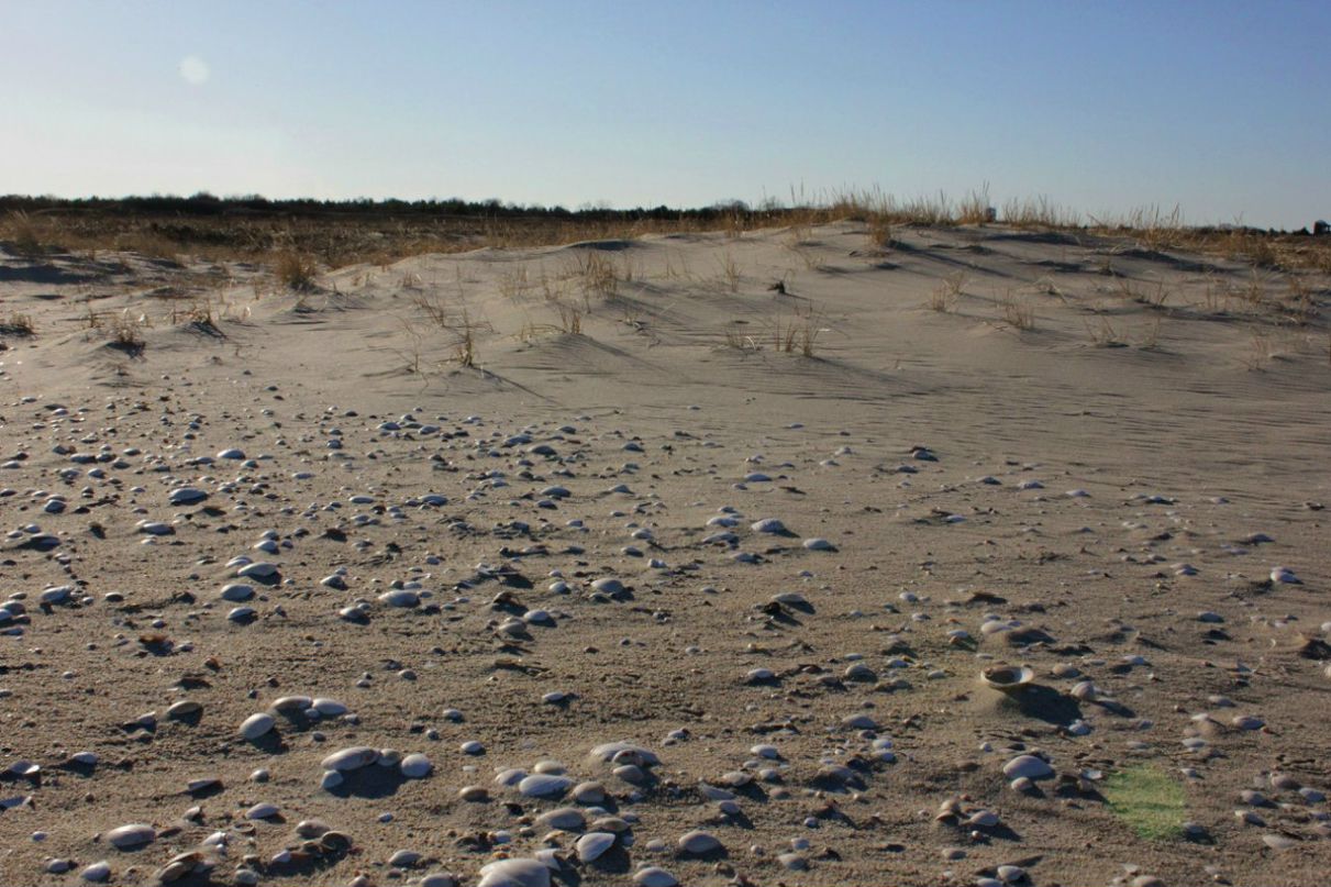 Глеб Петров фотография #24