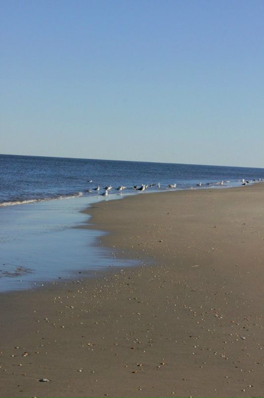 Глеб Петров фотография #37