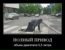 Роман Солотва фотография #25 (источник - https://vk.com/id23816520)
