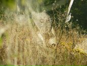 Exploding Madness фотография #11 (источник - https://vk.com/id65126124)