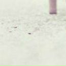 Катюха =) фотография #31 (источник - https://vk.com/id123783235)