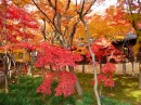 Акико ++++ фотография #39 (источник - https://vk.com/id81578312)