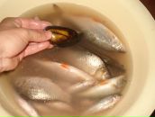 Віталік Скриник фотография #34 (источник - https://vk.com/id9934039)