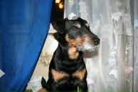 Фотография Павлуша Дмитрия